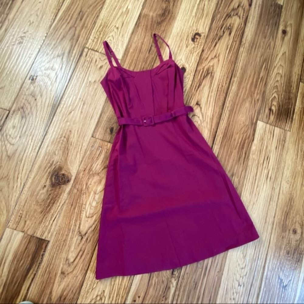 Pink lined Jacob dress with belt